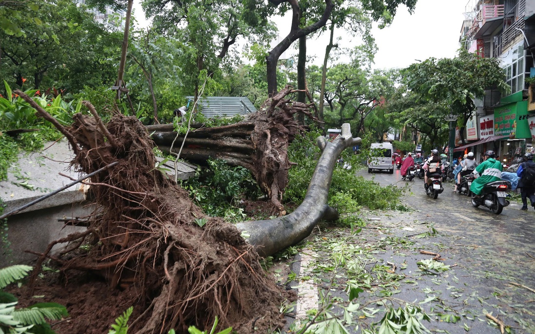 Những hình ảnh cây đổ la liệt sau khi bão số 3 quét qua Hà Nội