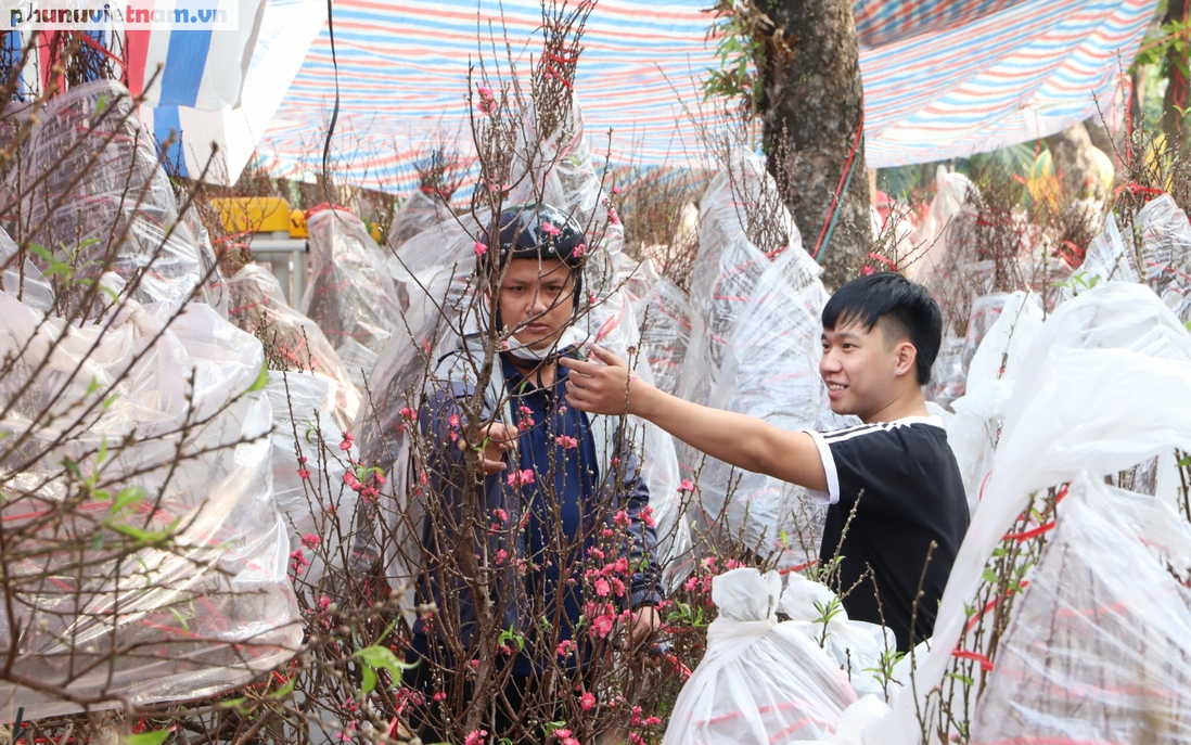 TPHCM: Hoa Tết về nhiều, đang đợi khách mua