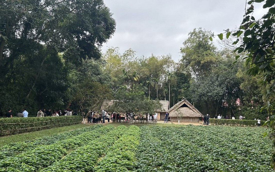 Tổng Bí thư Tô Lâm dâng hương tưởng nhớ Chủ tịch Hồ Chí Minh tại Nghệ An