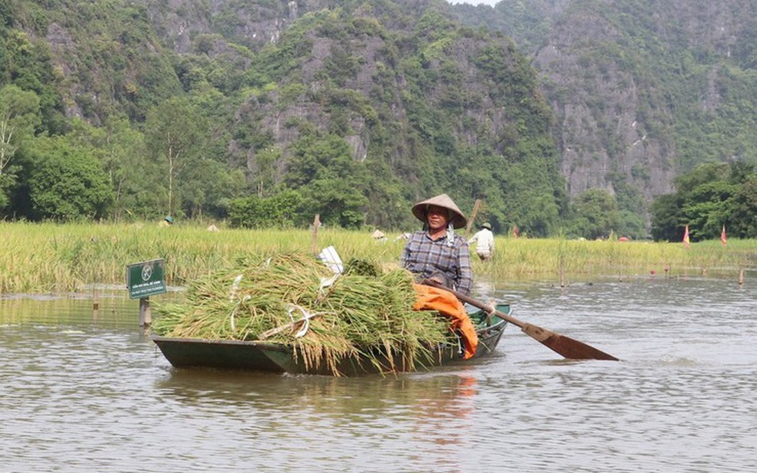 Ninh Bình: Nhiều danh thắng liên tiếp được vinh danh giải thưởng quốc tế