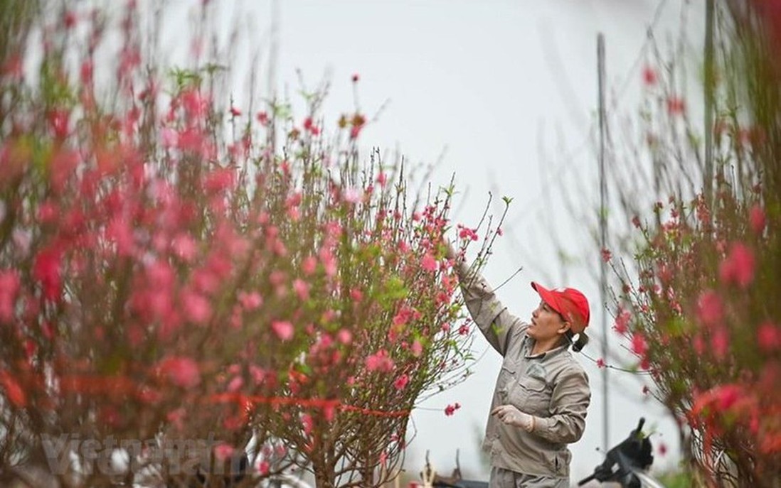 Trình Chính phủ phương án nghỉ Tết Nguyên đán 9 ngày, lễ Quốc khánh 5 ngày