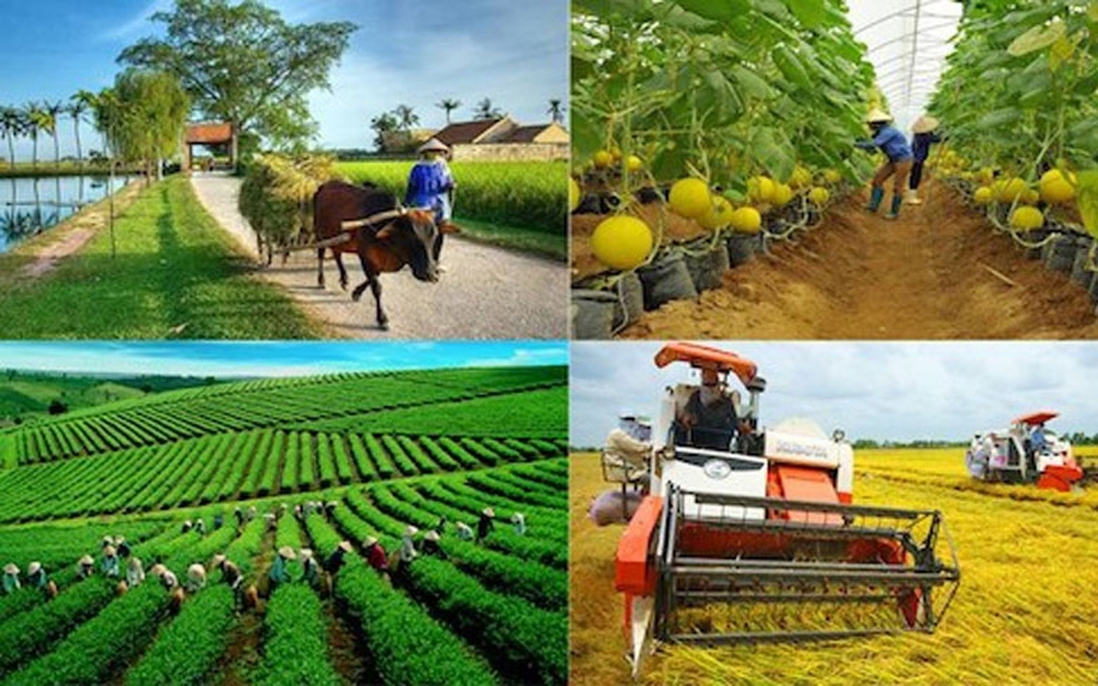 Hành động cụ thể để ngành nông nghiệp chủ động thích ứng biến đổi khí hậu