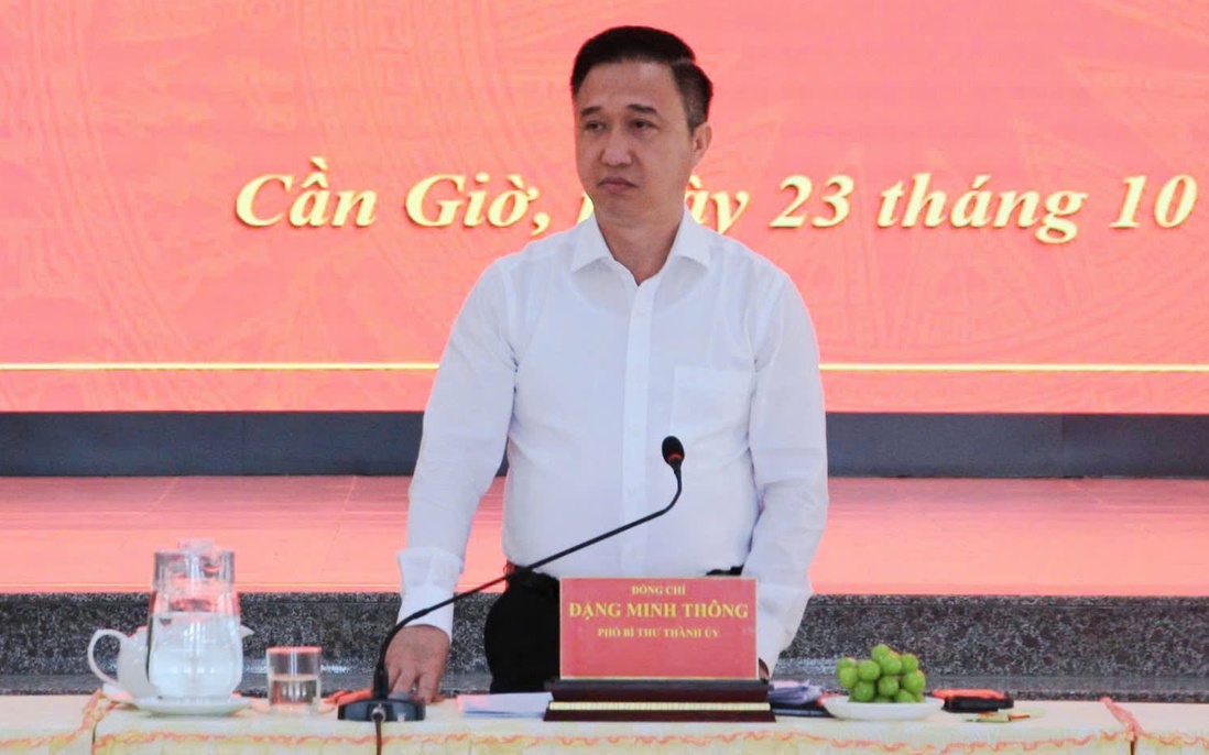 TPHCM: Triển khai giám sát thực hiện chính quyền địa phương 2 cấp tại 4 xã