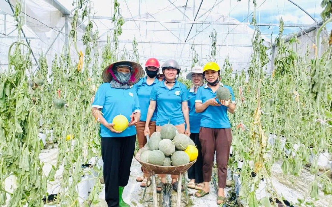 Những phiên chợ nghĩa tình cứu nông sản vùng lũ