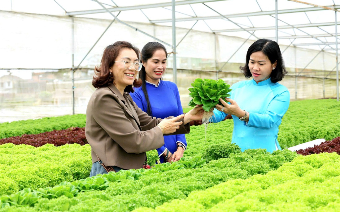 Thủ tướng phê duyệt Đề án Hỗ trợ phụ nữ khởi nghiệp giai đoạn 2026 - 2035