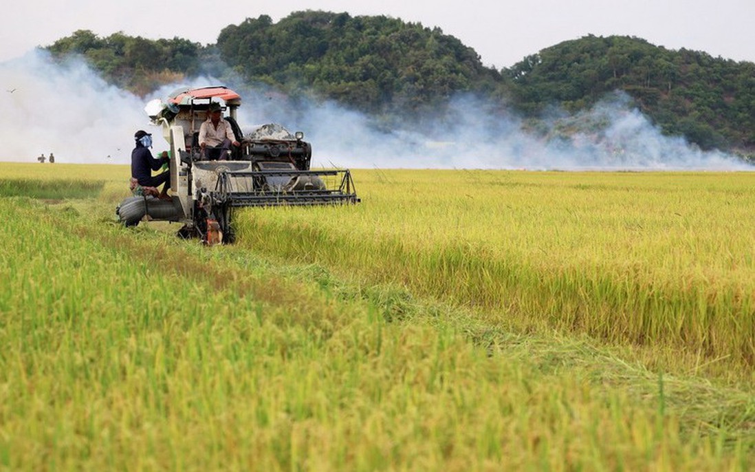 Dự thảo văn kiện Đại hội Đảng XIV: Đề xuất cơ chế đột phá, nâng tầm "tam nông"