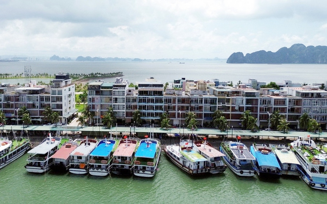 Quảng Ninh tạm ngừng cấp phép thăm quan, lưu trú trên biển từ sáng 5/10