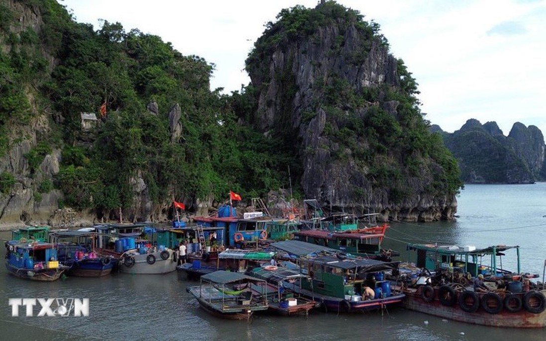 Các địa phương gấp rút kiểm đếm tàu thuyền, bảo vệ đê điều và sản xuất