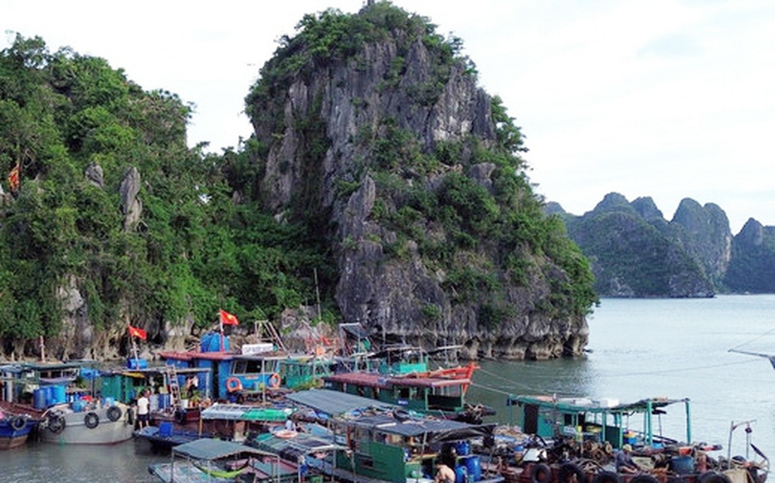 Các địa phương gấp rút kiểm đếm tàu thuyền, bảo vệ đê điều và sản xuất