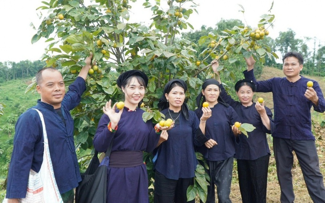 Làn sóng khởi nghiệp nữ: Thêm động lực cho phát triển kinh tế
