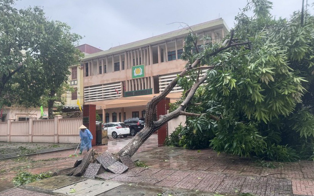 Chuyên gia lý giải nguyên nhân của mùa bão bất thường