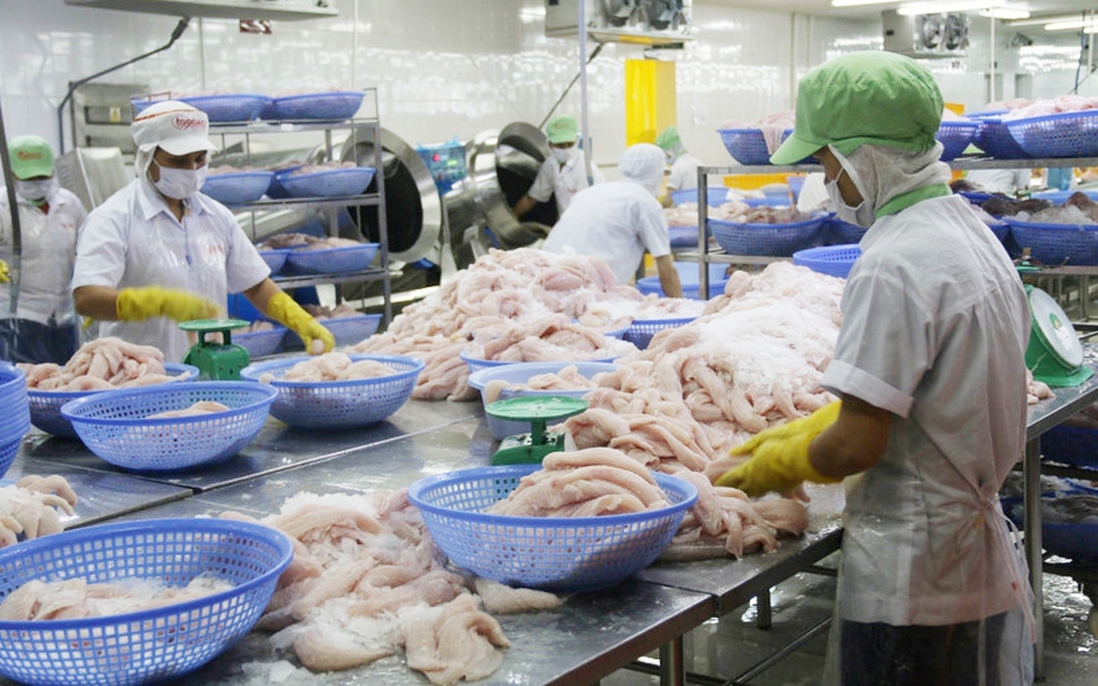 Hơn 231 nghìn doanh nghiệp thành lập mới, quay lại hoạt động kể từ đầu năm