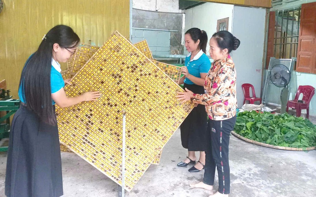 Phụ nữ xứ Nghệ "hồi sinh" nghề truyền thống