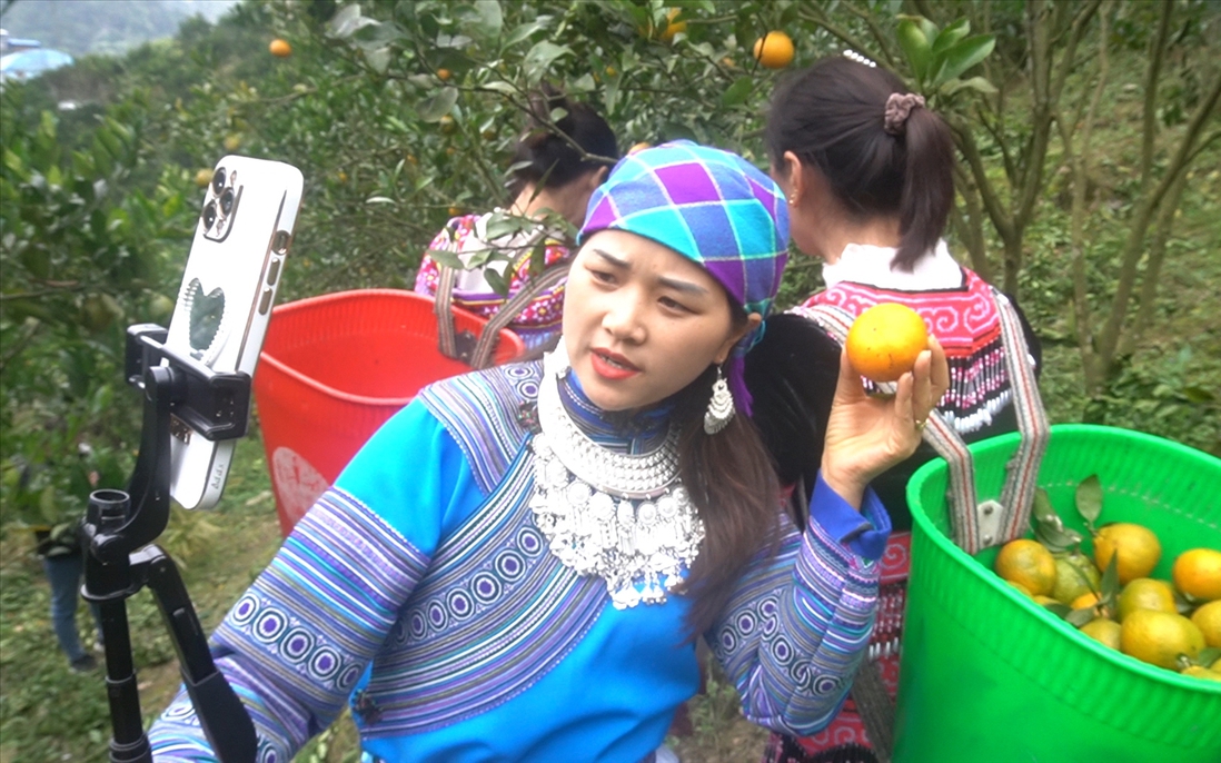 Niềm tin số - nền tảng vững chắc cho chuyển đổi số quốc gia