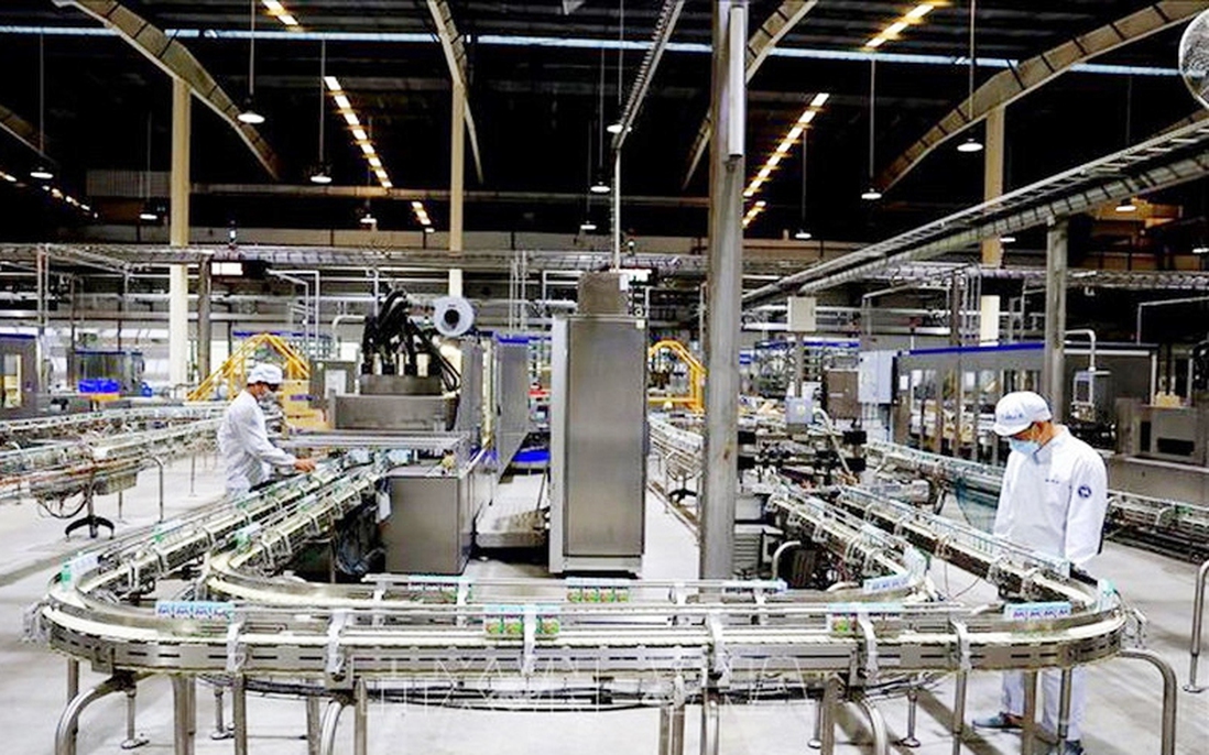 Hợp chất thay thế kháng sinh mở ra hướng đi bền vững cho ngành sữa toàn cầu