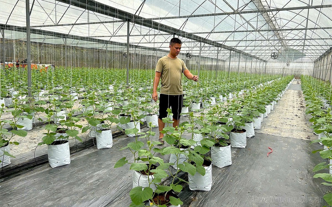 Nông nghiệp Tuyên Quang bứt phá từ chuyển đổi số và chuyển đổi xanh