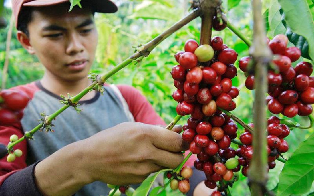 Đắk Lắk: Kiểm tra, xử vụ việc đập phá Trạm Bảo vệ rừng