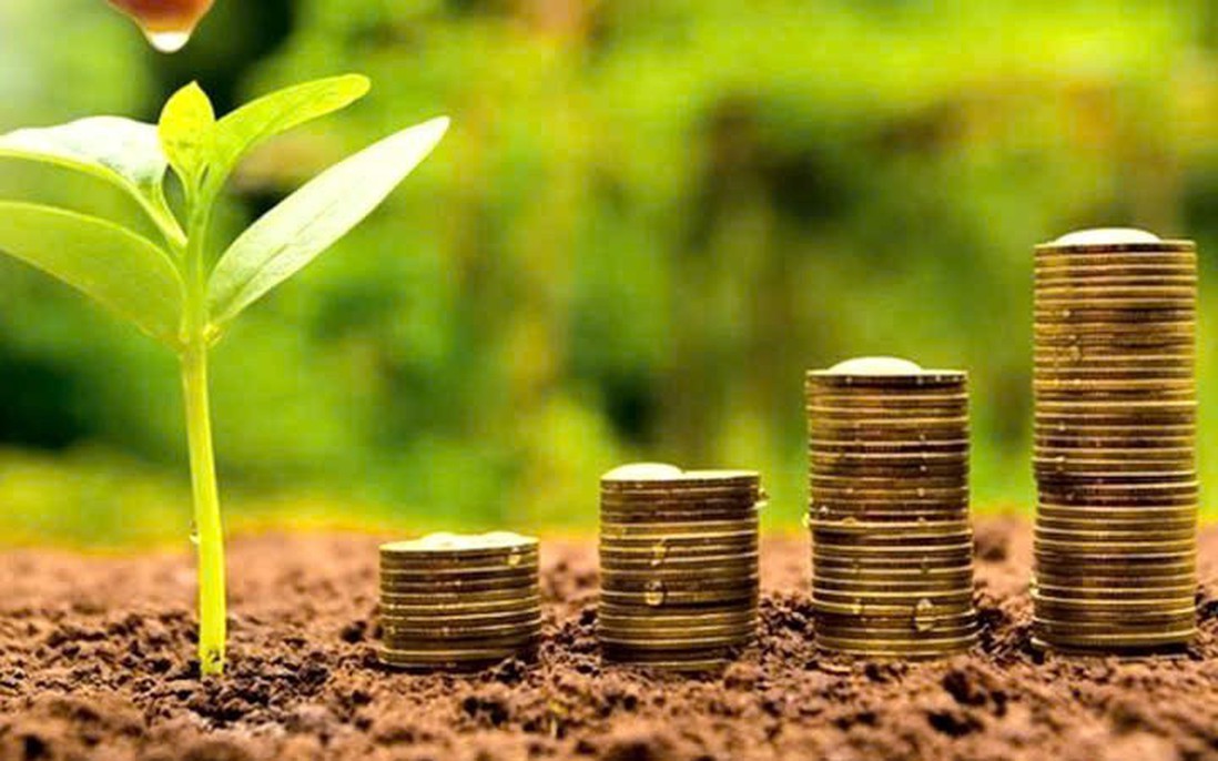 13 doanh nghiệp trả cổ tức tiền mặt, mức cao nhất lên tới 80%