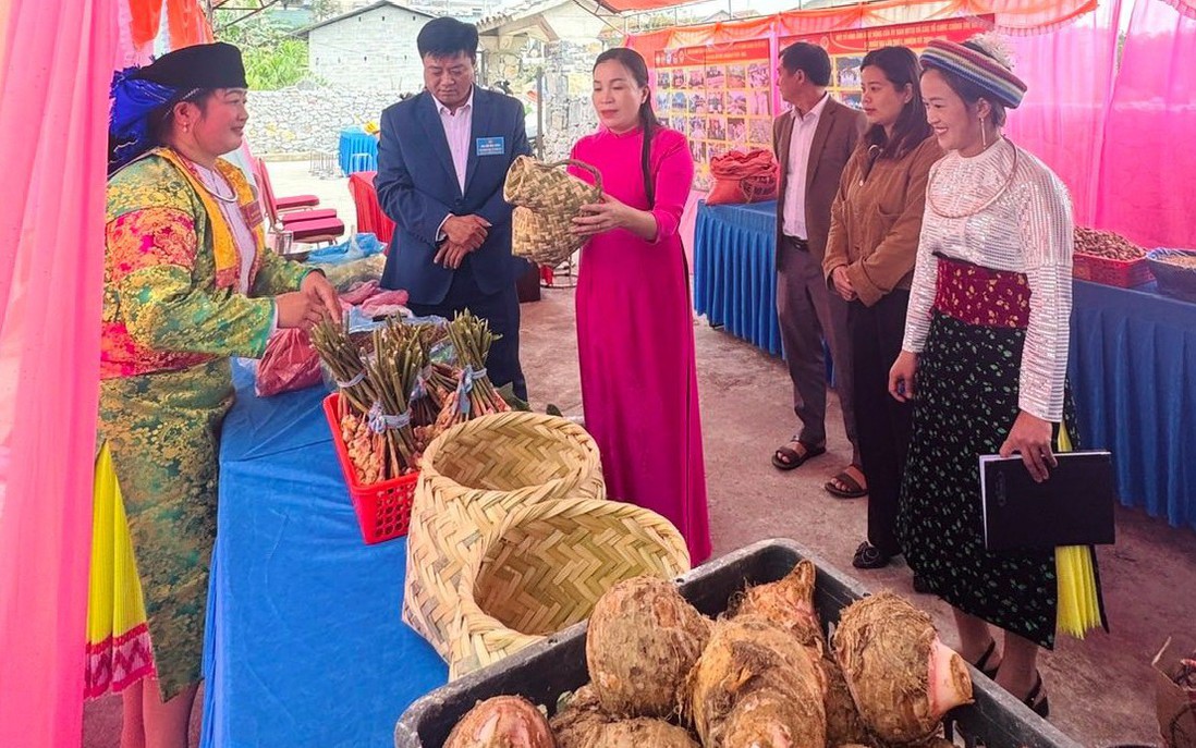 Cần tăng cường đào tạo kỹ năng số cơ bản cho người dân vùng khó