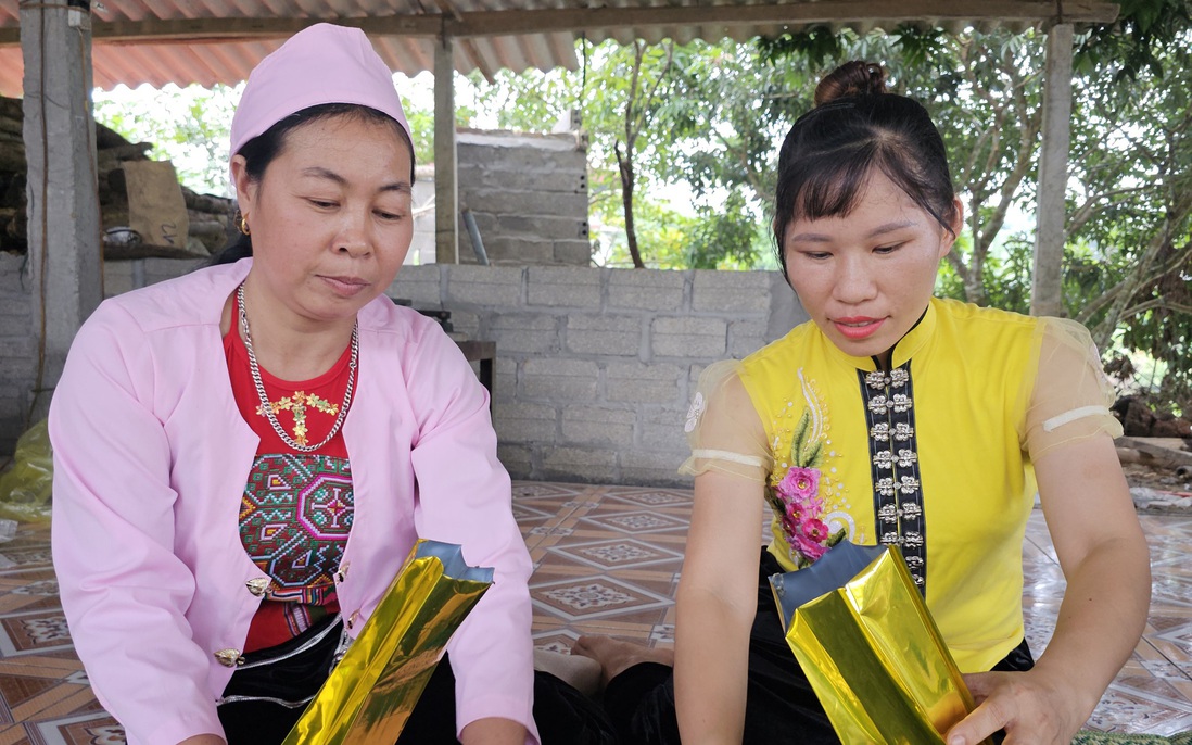 Giảm nghèo thông tin: Chìa khóa để phụ nữ thoát nghèo và bình đẳng