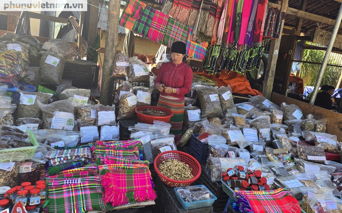 Động lực phát triển kinh tế - xã hội tại khu vực đồng bào dân tộc thiểu số và miền núi