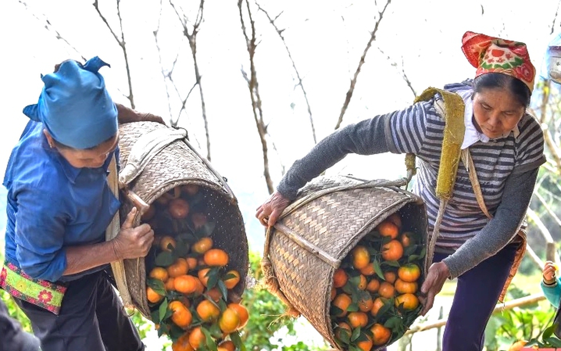 Thanh Hóa: Phát huy vai trò "nhạc trưởng" gắn kết sản phẩm vùng dân tộc thiểu số và miền núi với thương mại