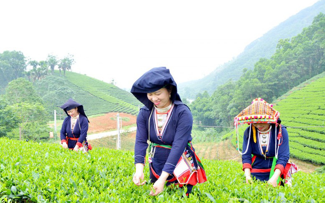 Chuyển đổi cơ cấu ngành nghề, mở ra hướng đi mới cho sản phẩm khu vực dân tộc thiểu số và miền núi