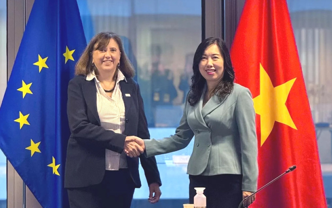 EU hỗ trợ Việt Nam 850.000 euro để khắc phục hậu quả lũ lụt