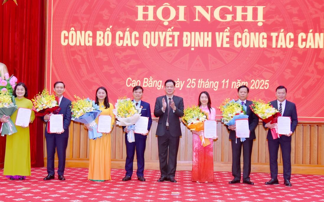 Cao Bằng điều động, bổ nhiệm 3/7 cán bộ là nữ nắm giữ vị trí lãnh đạo, quản lý chủ chốt