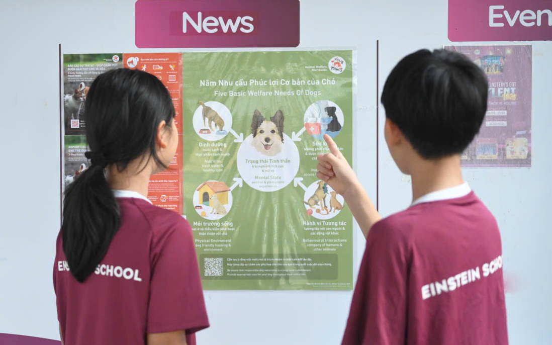 Triển khai chương trình giáo dục về phúc lợi động vật trong trường học