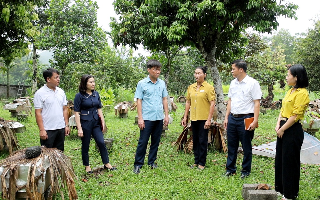 Hợp Thành (Thái Nguyên): Vững vàng sau thiên tai, bứt phá mục tiêu phát triển kinh tế - xã hội
