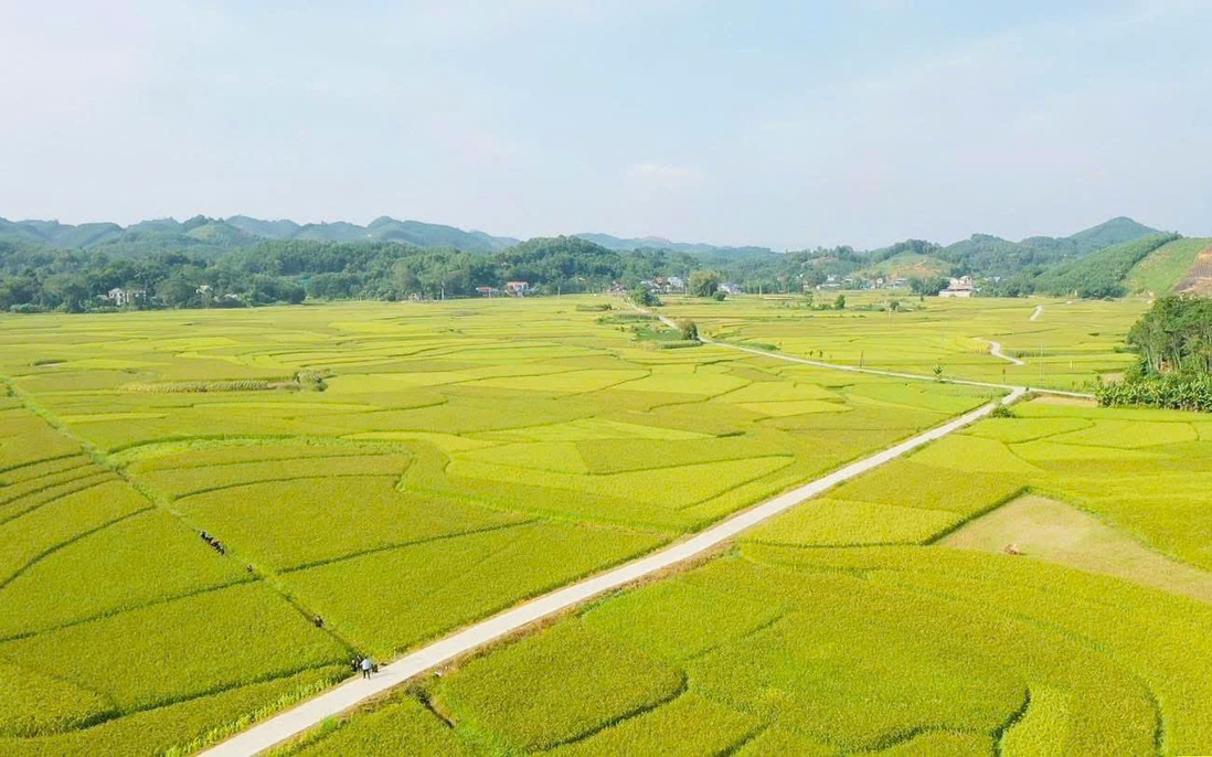 Hợp Thành: Miền ký ức nảy mầm từ bản sắc Tày