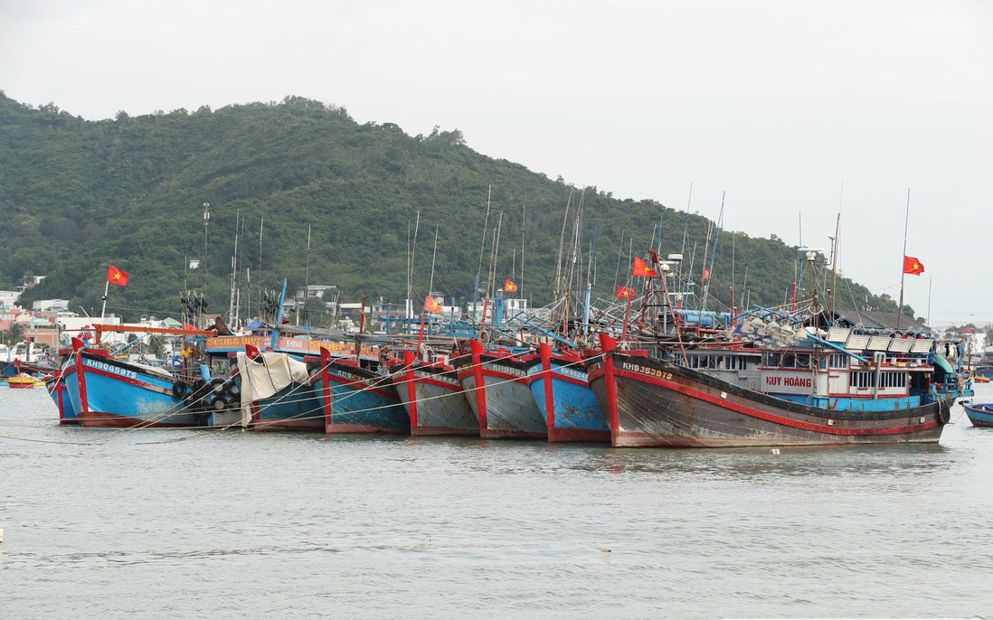 Ứng phó bão số 15, Khánh Hòa cấm biển từ 7 giờ ngày 28/11