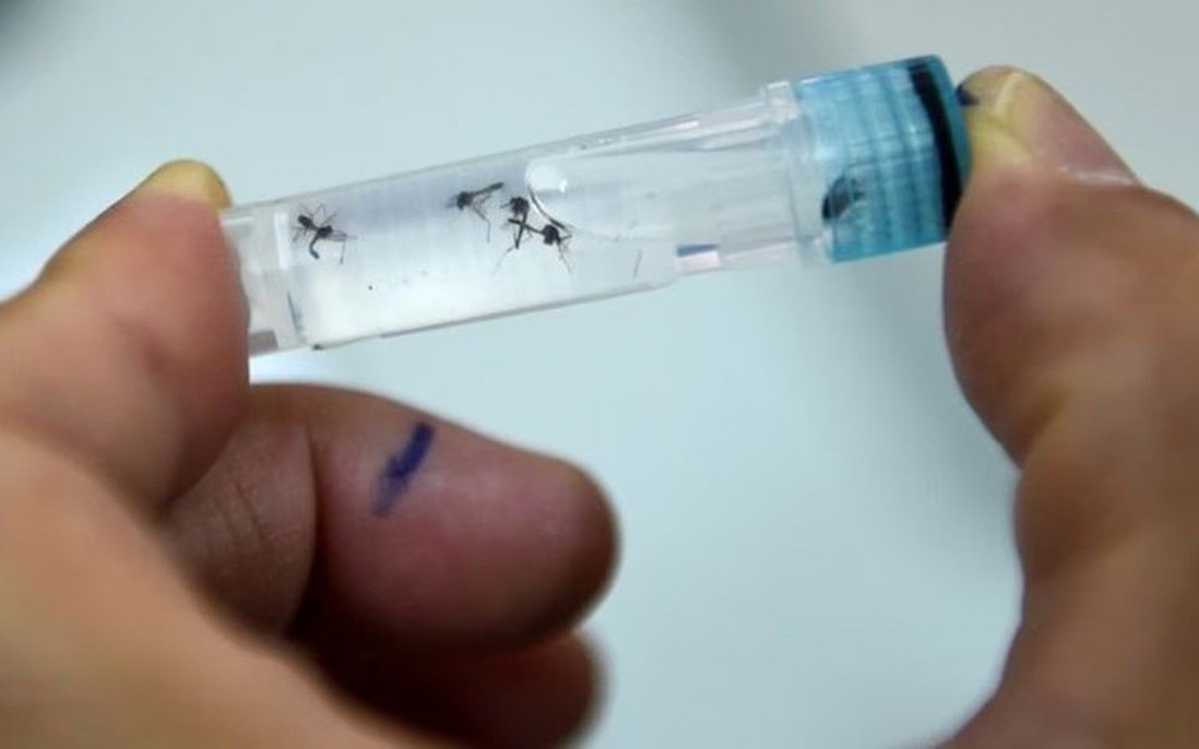 Vaccine đơn liều đầu tiên trên thế giới phòng bệnh sốt xuất huyết