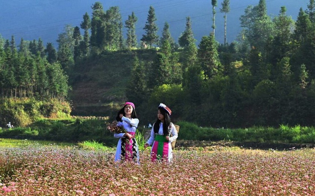 Mùa hoa đánh thức bước chân về miền cực Bắc Tổ quốc