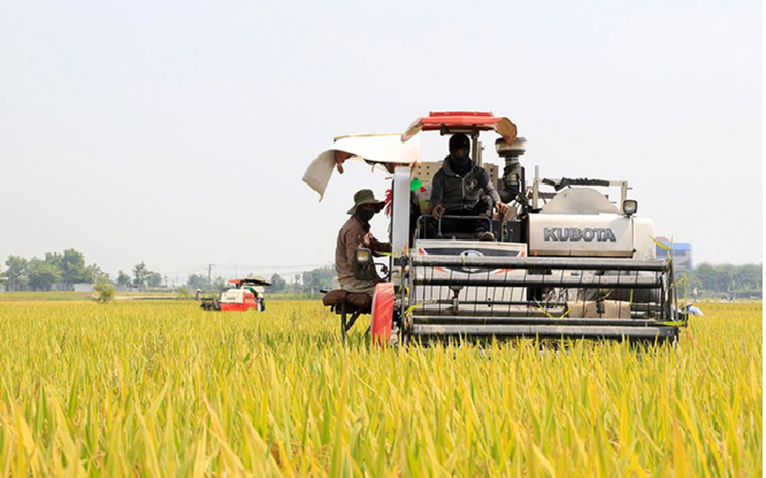 Nông nghiệp Hà Nội tăng trưởng ổn định, đóng góp tích cực vào kinh tế Thủ đô