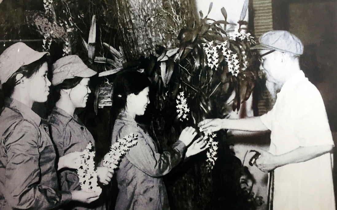 Anh hùng Lực lượng vũ trang Nhân dân Trương Thị Khuê: Tấm gương kiên trung, bất khuất