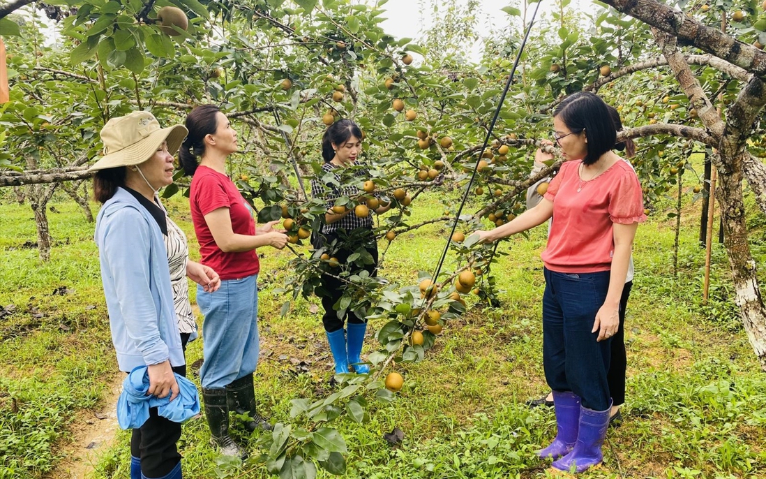 Dự án 8 tác động tích cực, thay đổi “nếp nghĩ, cách làm” của người dân