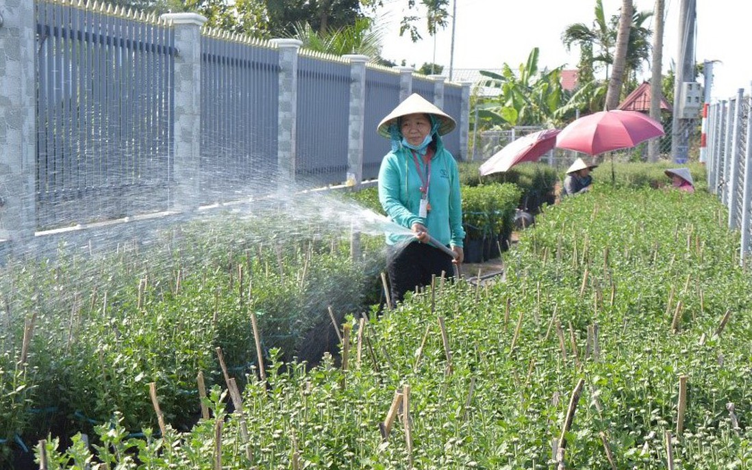 Vĩnh Long: Hiệu quả trong thực hiện giảm nghèo bền vững ở Chợ Lách
