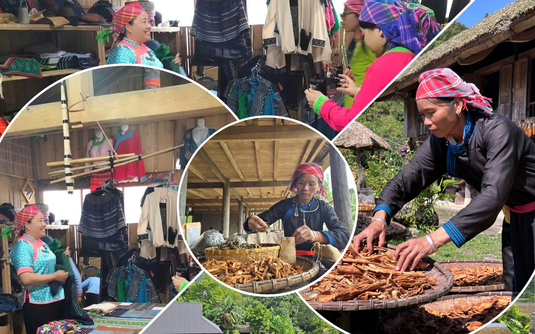 Thu hẹp khoảng cách giới trong tiếp cận tri thức số giúp phụ nữ Lào Cai giảm nghèo bền vững