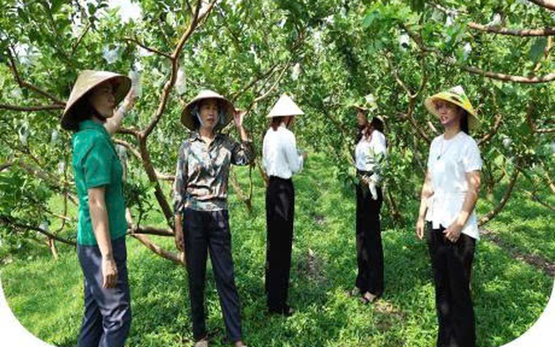 Hỗ trợ đúng và tiếp sức kịp thời cho phụ nữ phát triển kinh tế