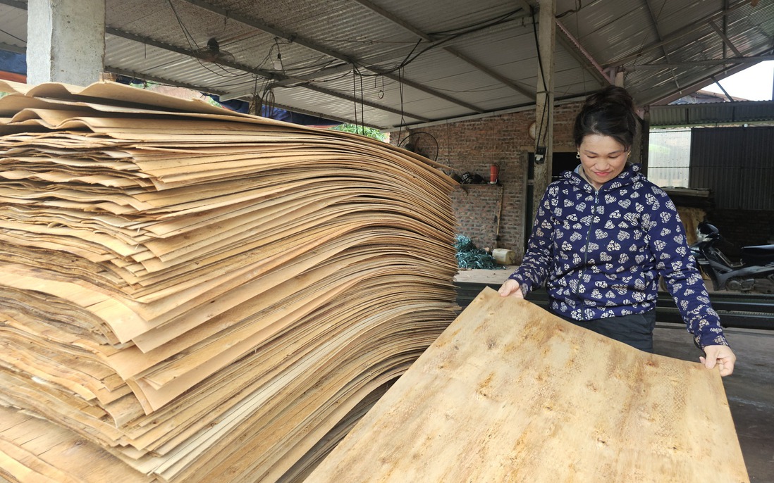 4 nhóm thông tin cần thiết cho "hành trang" thoát nghèo bền vững