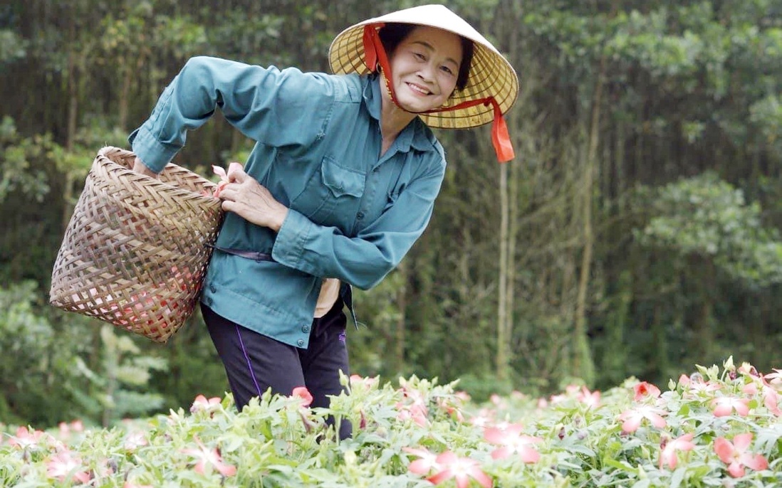 Hoàn thiện, thúc đẩy chính sách phát triển kinh tế tập thể