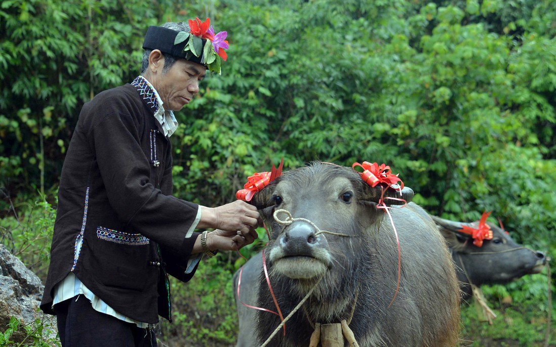 Lễ cúng hồn trâu của người Lự - nghi lễ tri ân và gìn giữ bản sắc