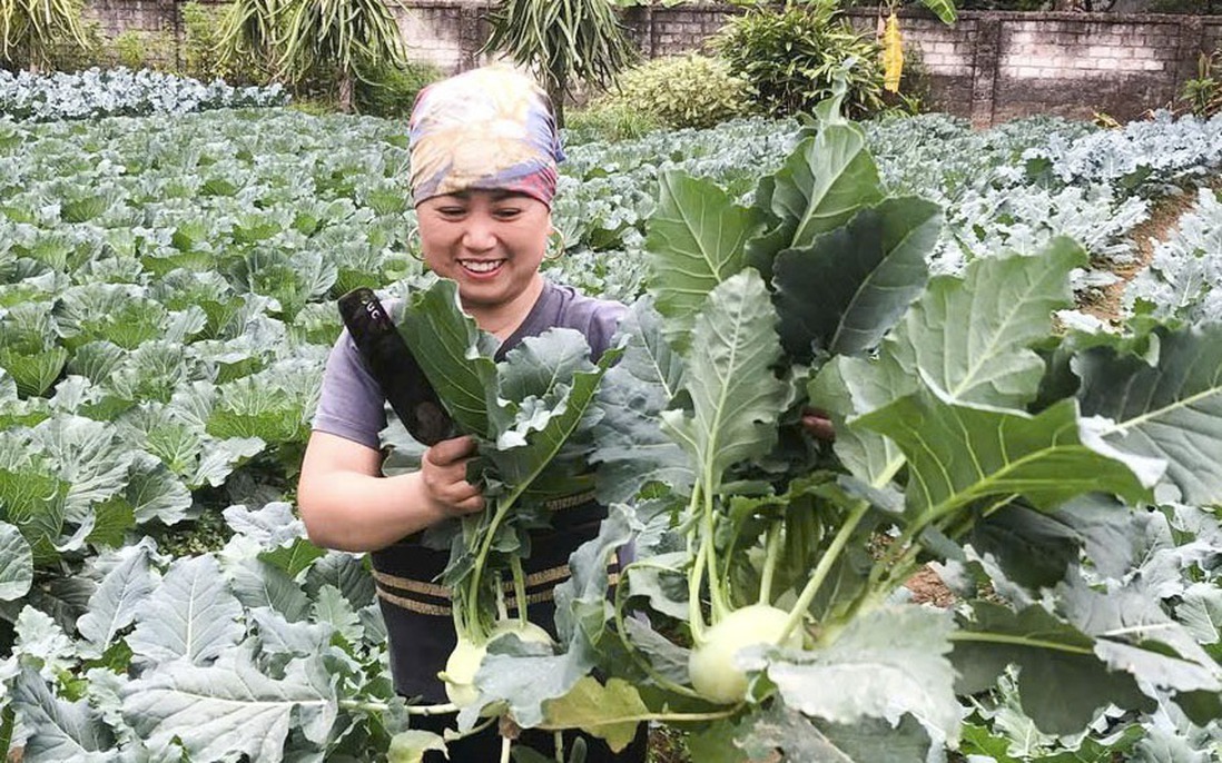 Thái Nguyên: Hội LHPN xã Dân Tiến đồng hành xóa “nghèo thông tin” khơi thông nguồn vốn ưu đãi