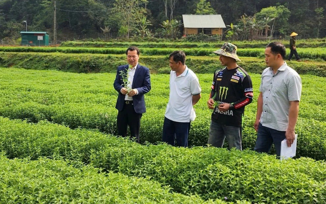 Tận dụng nguồn lực để giảm nghèo bền vững ở Cao Bằng