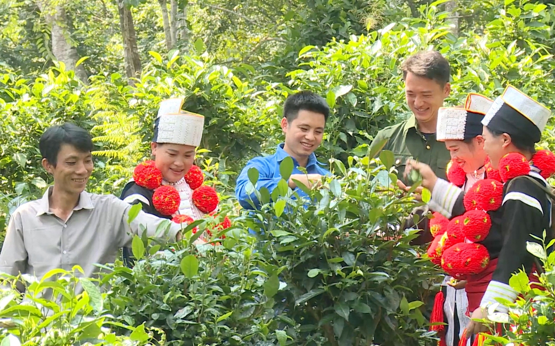 Chuyển đổi số tạo đột phá giảm nghèo đa chiều ở Tuyên Quang