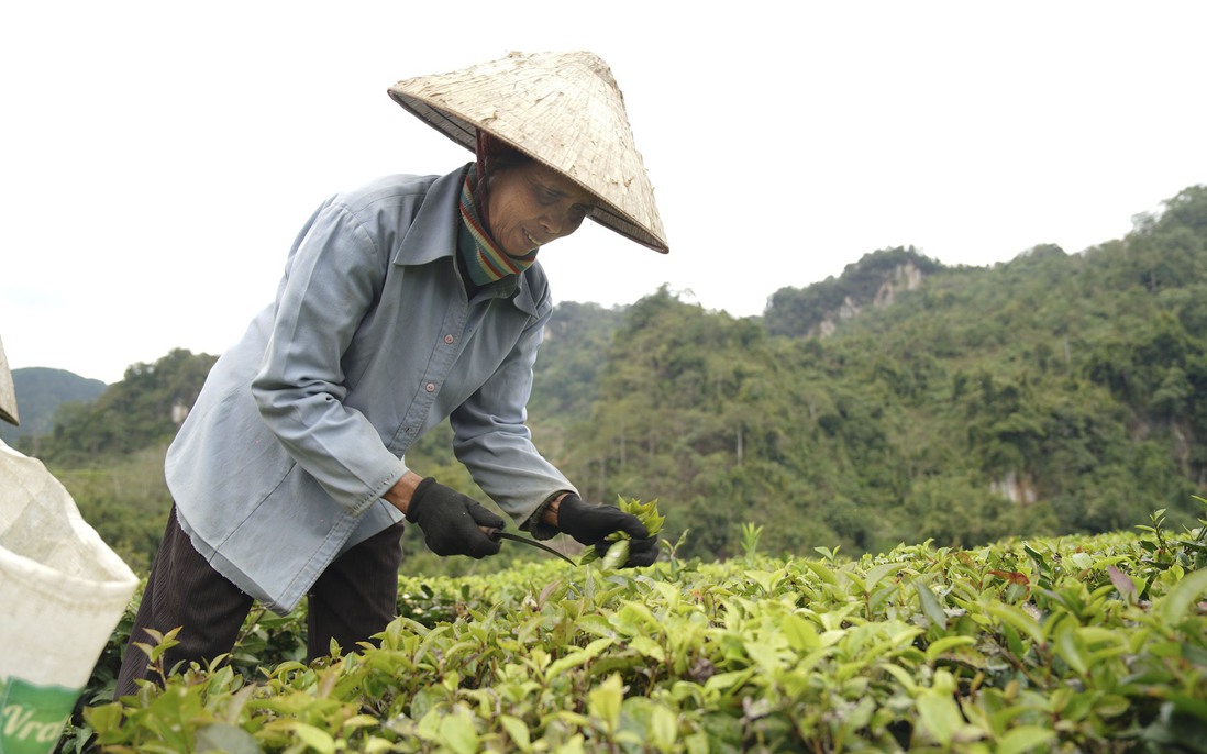 Khơi thông nguồn vốn ưu đãi cho phụ nữ dân tộc thiểu số Khun Há vươn lên