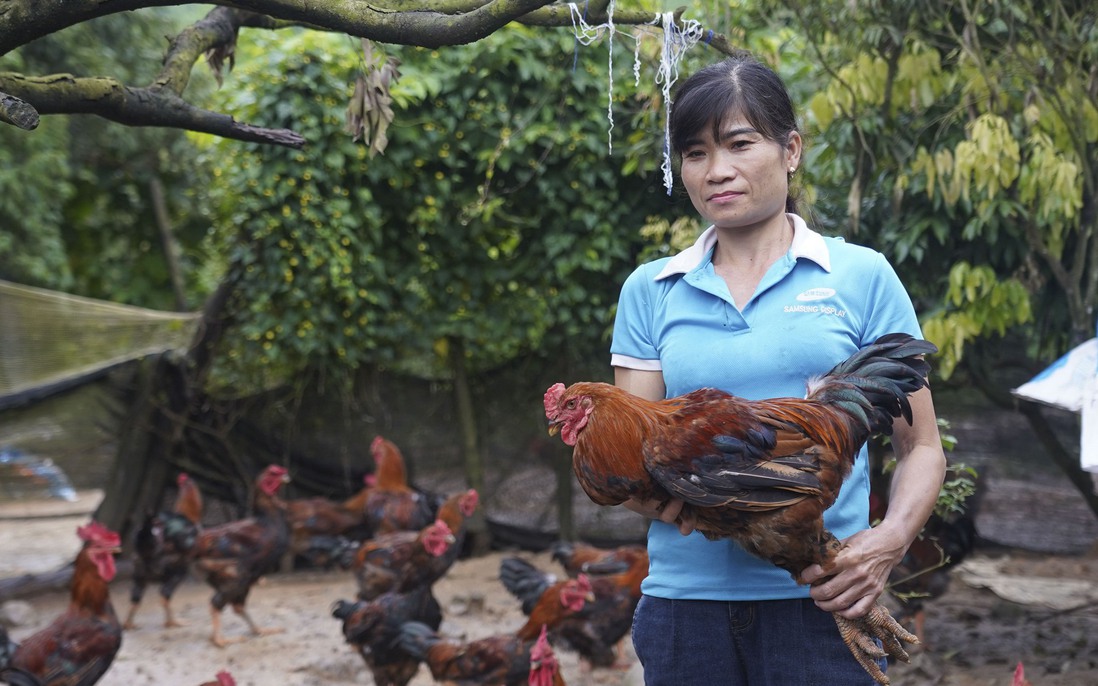 Thay đổi tư duy sản xuất, người dân Yên Định mạnh dạn vươn lên làm giàu