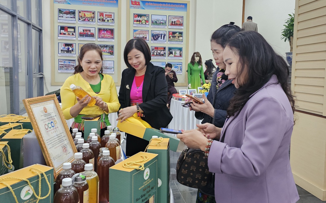 Phú Thọ hỗ trợ phụ nữ giảm nghèo, thúc đẩy bình đẳng giới